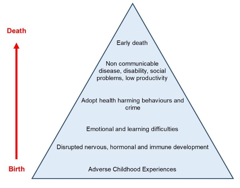 Pyramid showing the affect ACEs can have over a life course