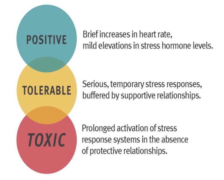 Image showing stress levels - positive, tolerable and toxic